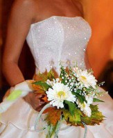 /album/galleria-fotografica/a378762-260335477357565-1619882563-n-jpg/