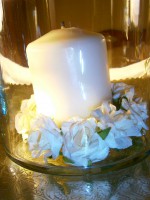 /album/galleria-fotografica/p9280105-jpg/