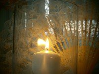 /album/galleria-fotografica/p9280139-jpg/