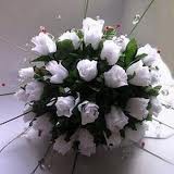 /album/galleria-fotografica/imagesca2fla7i-jpg/