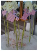 /album/galleria-fotografica/a388170-407002616024183-1908322542-n-jpg/