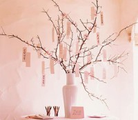 /album/galleria-fotografica/a559146-395011483889963-613852972-n-jpg/