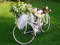 /album/galleria-fotografica/img-aa126hdc12-aa-b-aa-1-jpg/