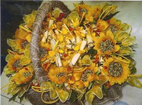 /album/galleria-fotografica/matia4-jpg/