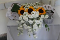 /album/galleria-fotografica/a1097161-216945928464573-1149909196-o-jpg/