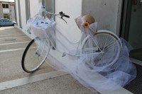 /album/galleria-fotografica/a1149231-216942258464940-1787098381-o-jpg/