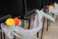 /album/galleria-fotografica/a1262595-228412613984571-1899692483-o-jpg/