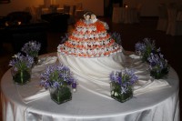 /album/galleria-fotografica/img-2852-jpg/