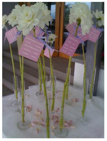 originale  e semple Tableau